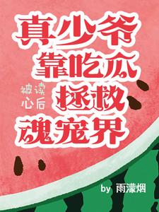 小说 少爷